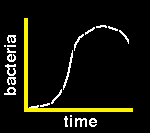 Bacterial Growth Curve